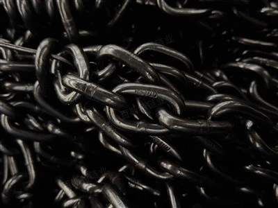 Gradd 100 Cadwyn Hoist Trydan Precision Uchel 11.2mm